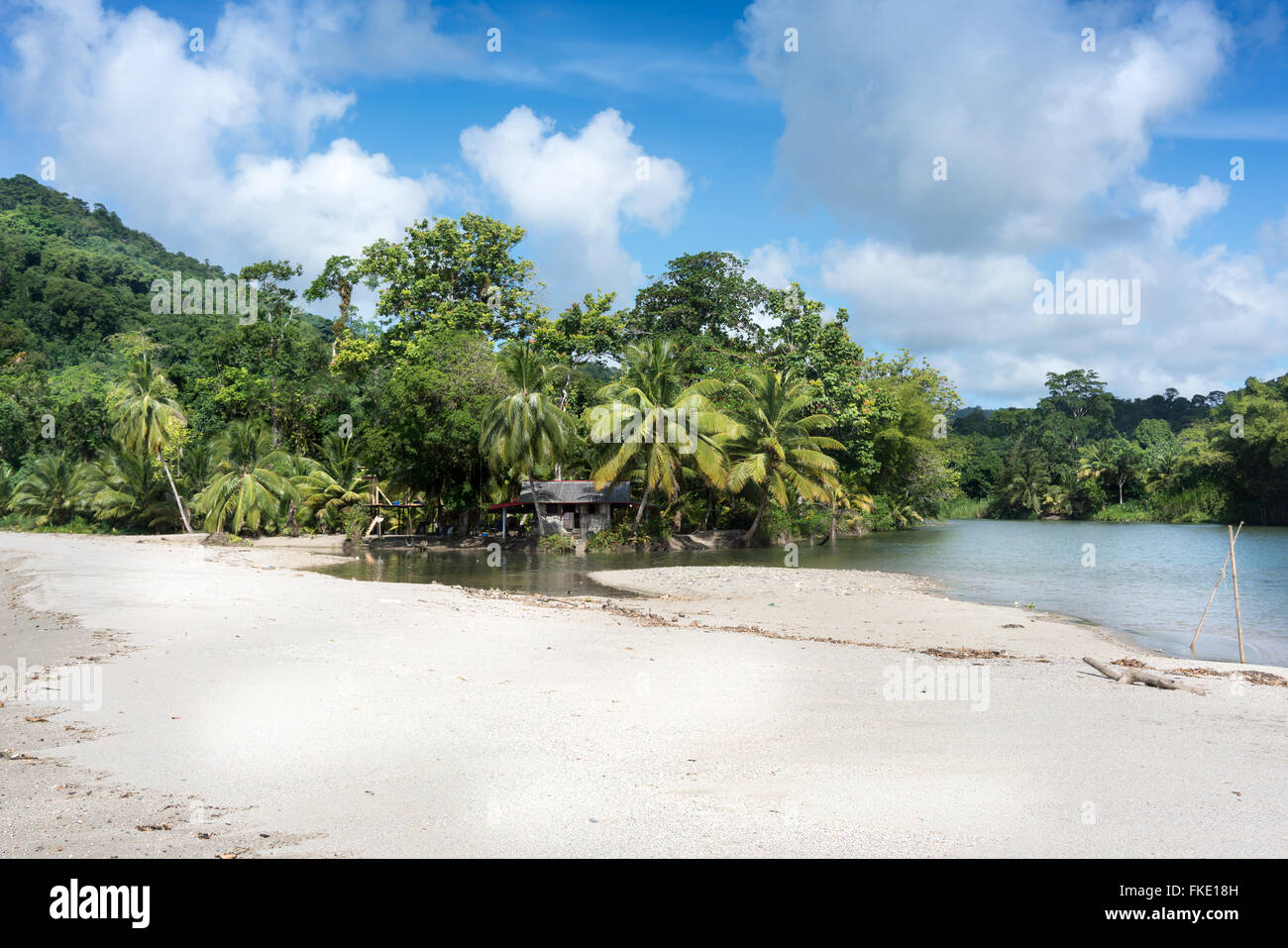 Vista panoramica della spiaggia esotica con palme e la bassa marea contro il cielo nuvoloso, Trinidad, Trinidad e Tobago Foto Stock