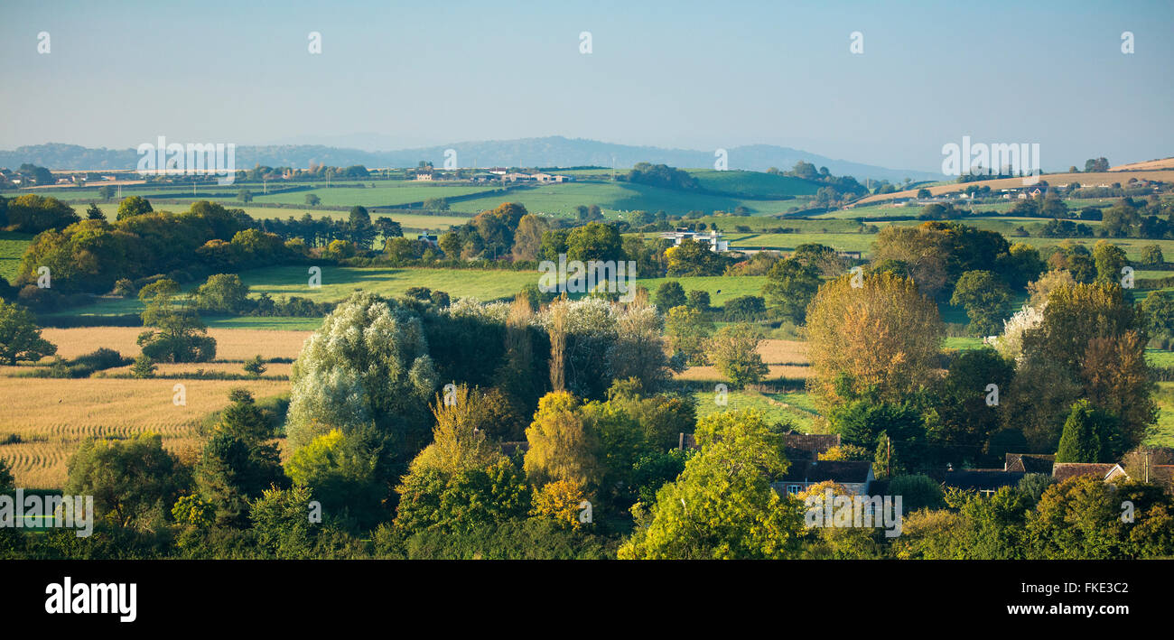 I colori autunnali nella valle intorno Milborne stoppino, Somerset, Inghilterra, Regno Unito Foto Stock