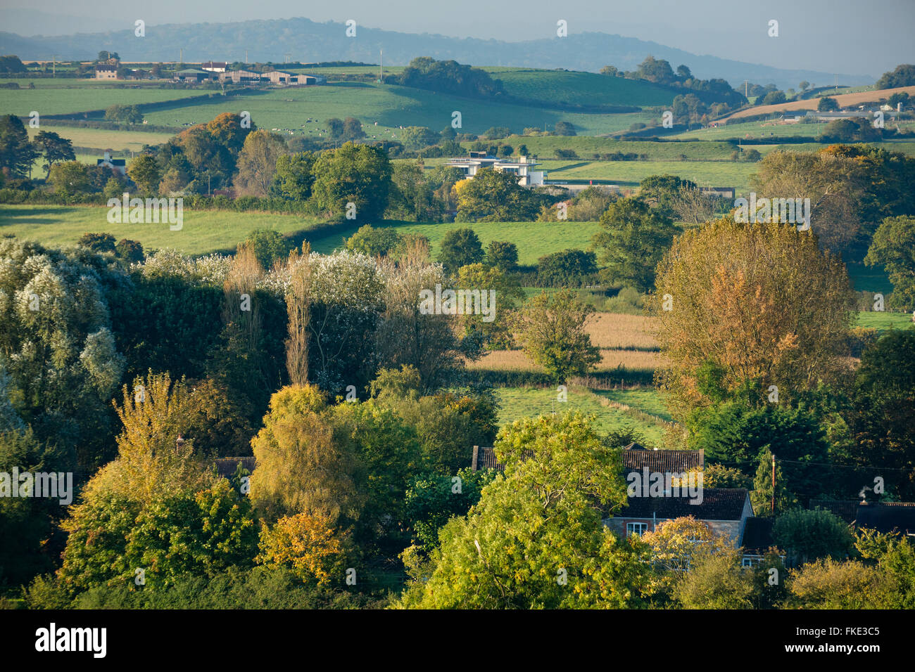 I colori autunnali nella valle intorno Milborne stoppino, Somerset, Inghilterra, Regno Unito Foto Stock