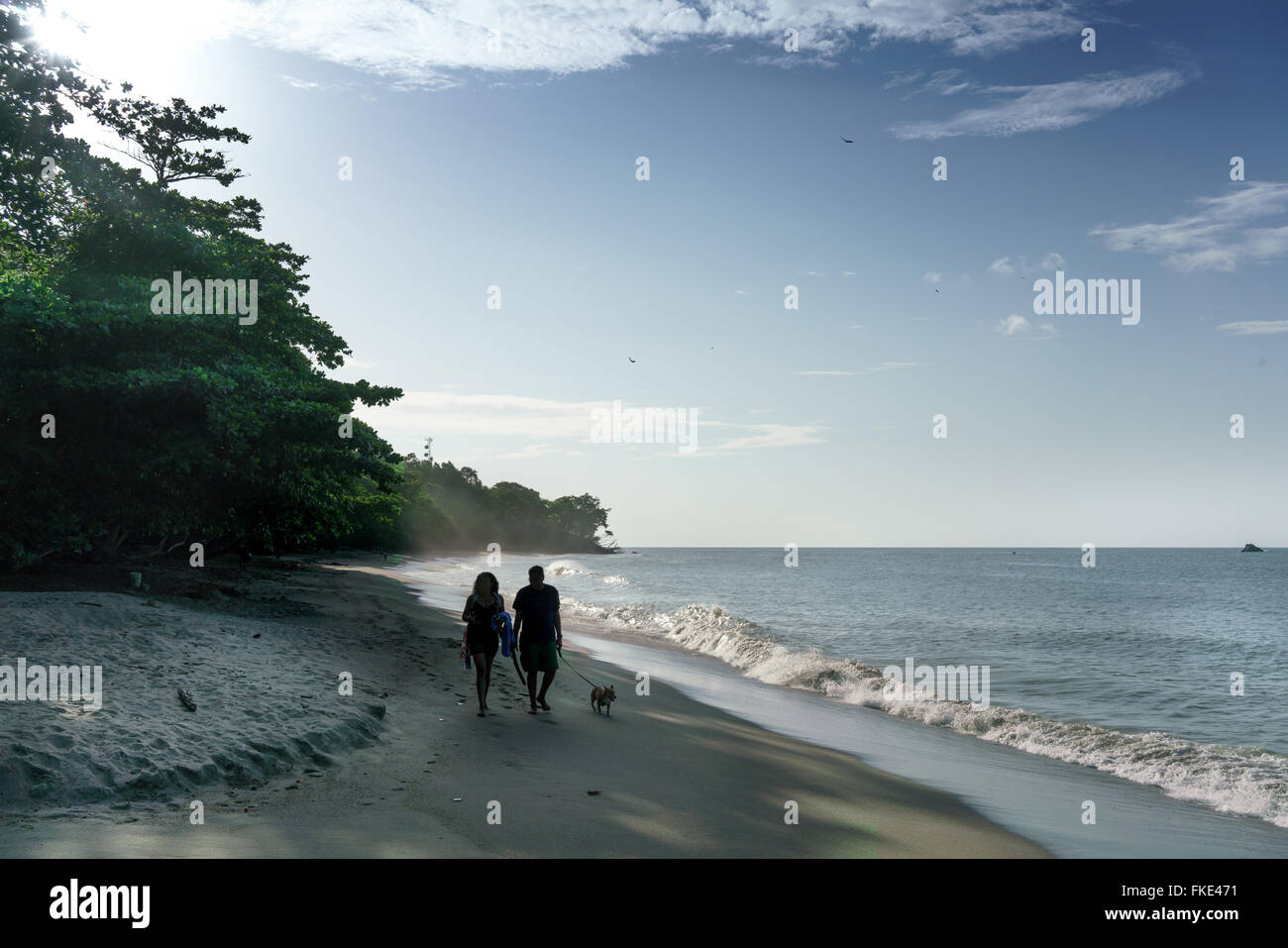 Giovane con il cane a camminare sulla spiaggia di sabbia, Trinidad, Trinidad e Tobago Foto Stock