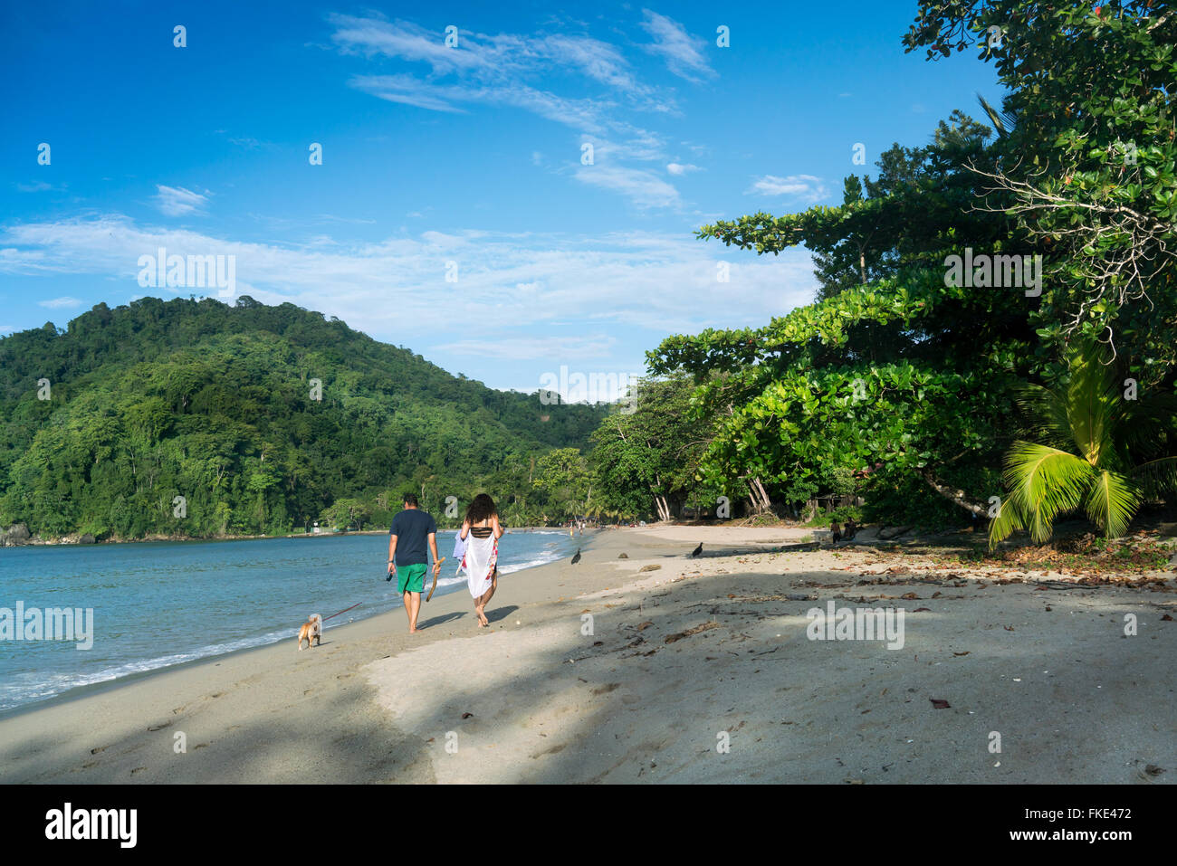 Vista posteriore del giovane con il cane a camminare sulla spiaggia di sabbia, Trinidad, Trinidad e Tobago Foto Stock