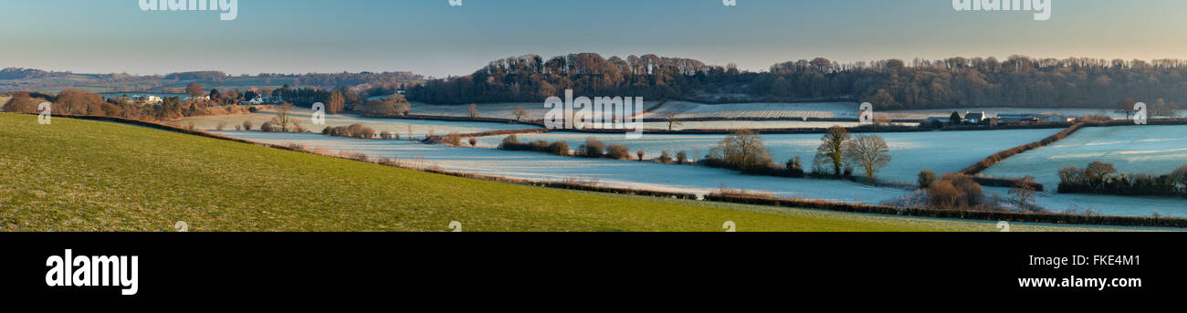 Un gelido inverno di mattina vicino a Milborne Port, Somerset, Inghilterra, Regno Unito Foto Stock