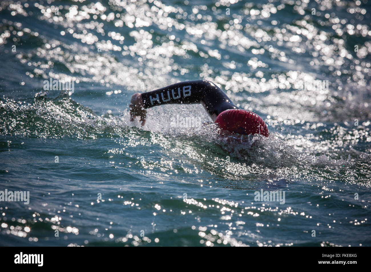 BRIGHTON, Regno Unito: Luglio 4, 2015 Un open water nuotatore compete nel SLSGB 2.5KM Campionato Nazionale di gara. Foto Stock