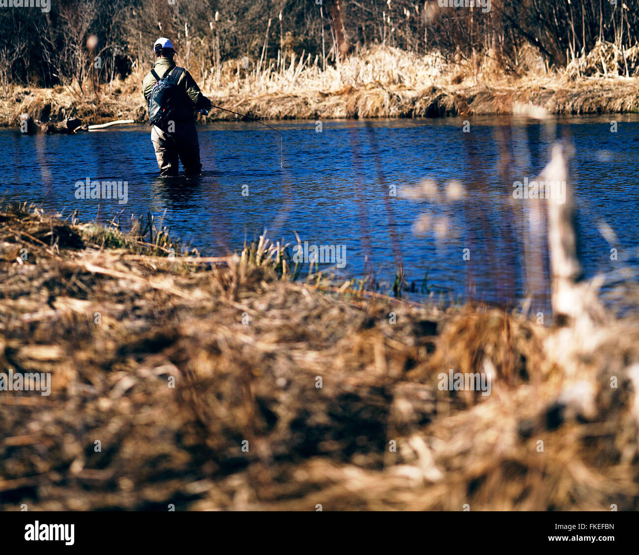 Fly fisherman wading su un piccolo fiume Foto Stock
