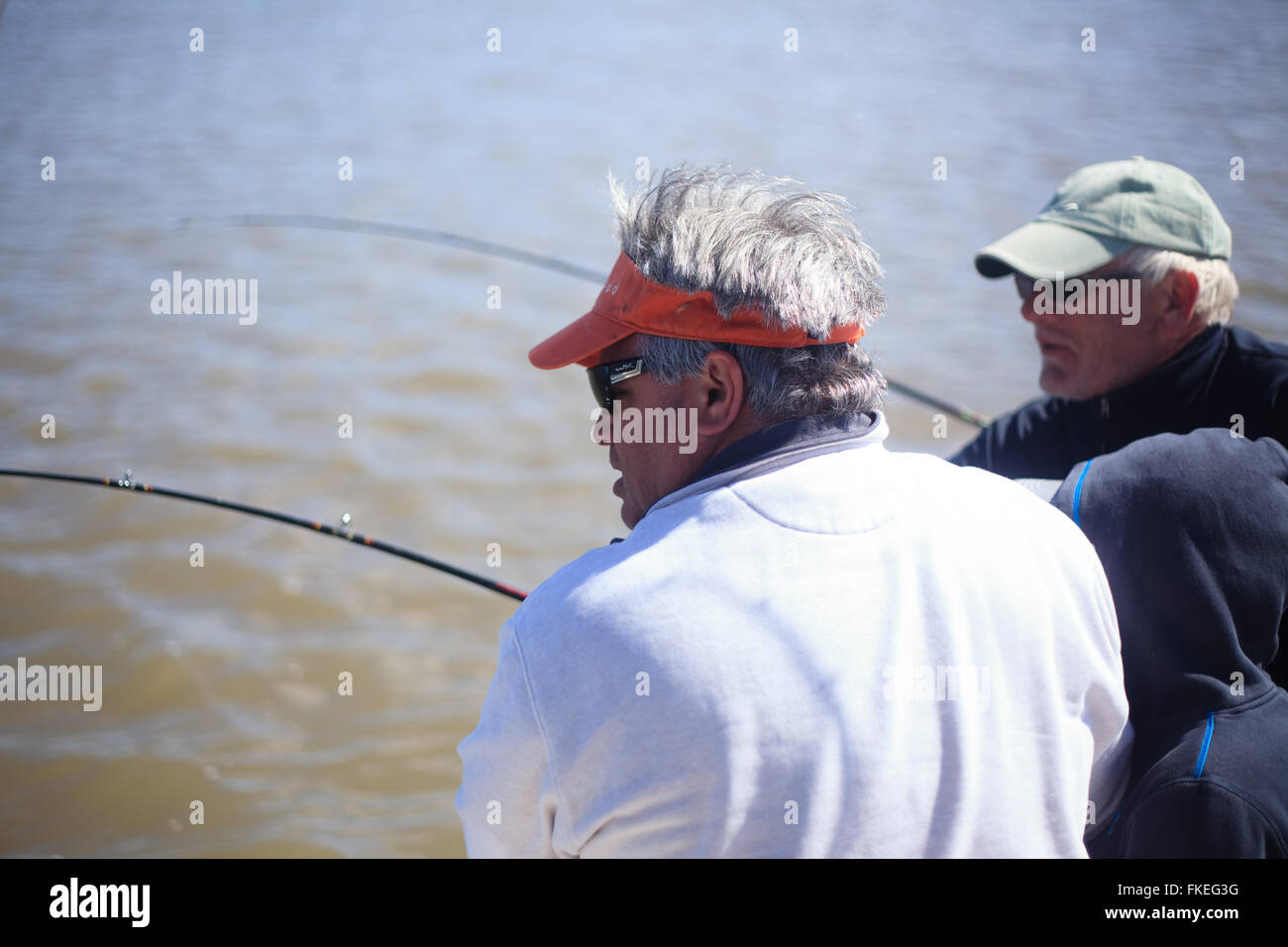 Fisherman la bobinatura di pesce oltre il lato di una barca Foto Stock