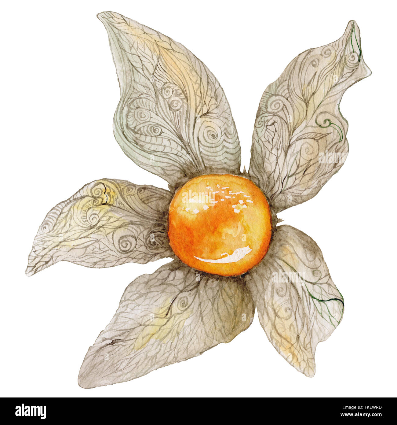 Luminose bella dolce autunno pittura alimentari isolati su sfondo bianco per menu, design cafe Foto Stock