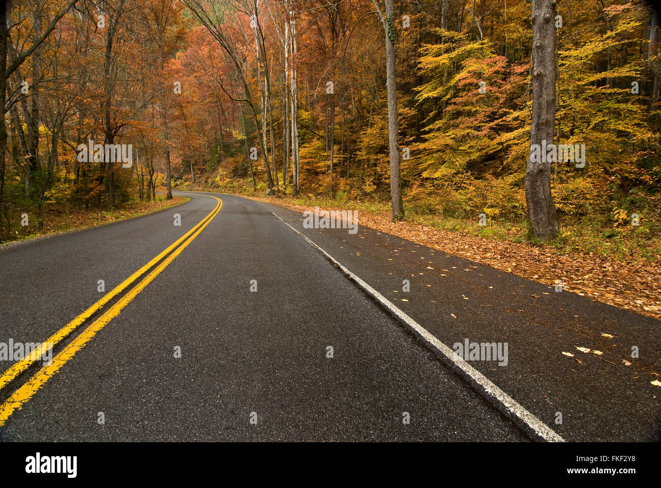 Wet strada di montagna Foto Stock