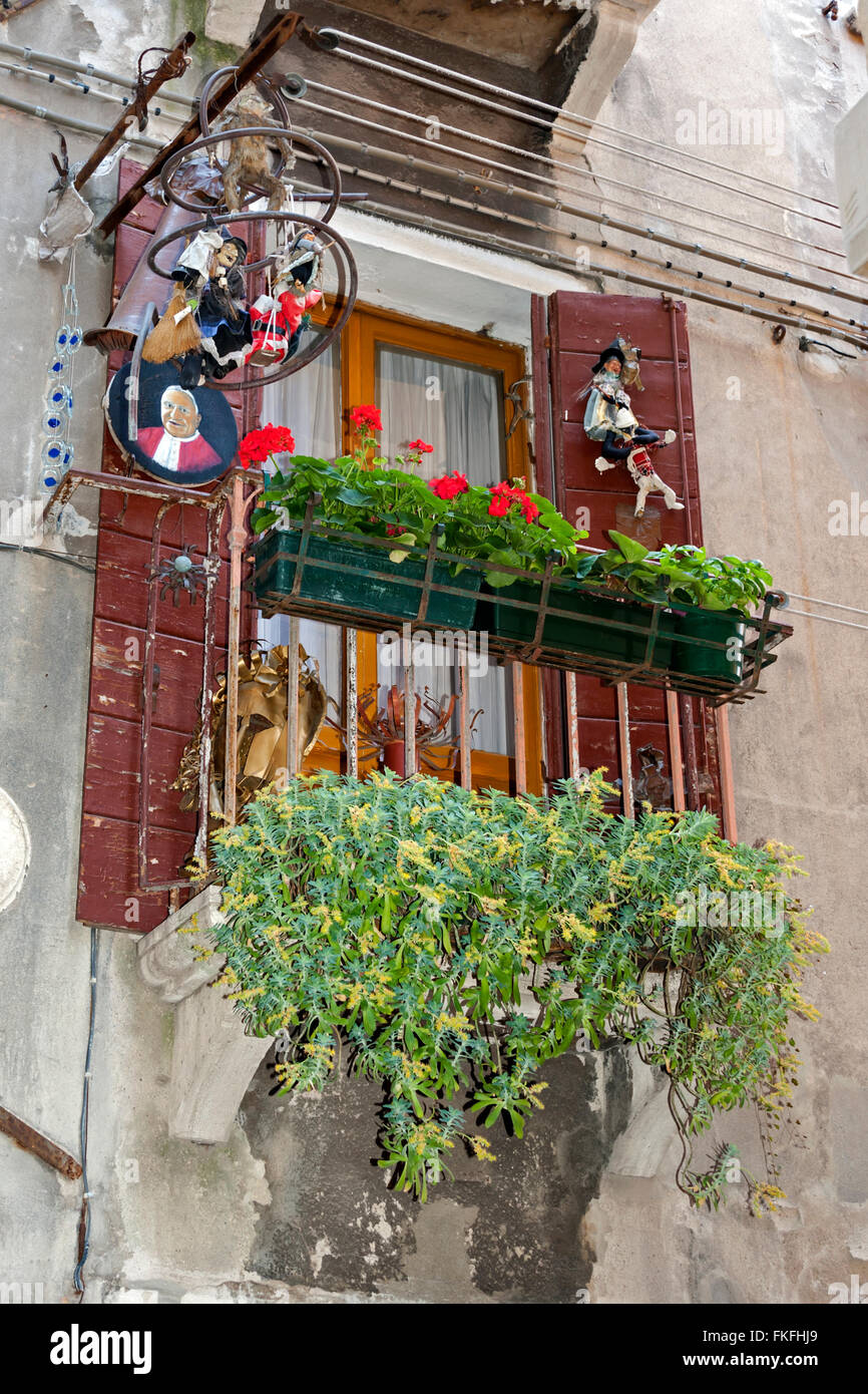 Fiori al di fuori di una finestra a Venezia Italia Foto Stock