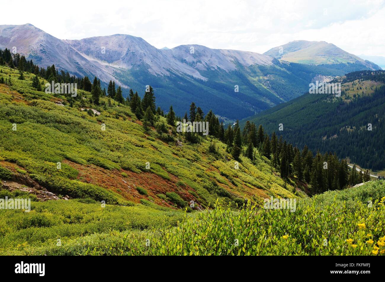 Vista dall indipendenza passa sul Continental Divide in Colorado, STATI UNITI D'AMERICA Foto Stock