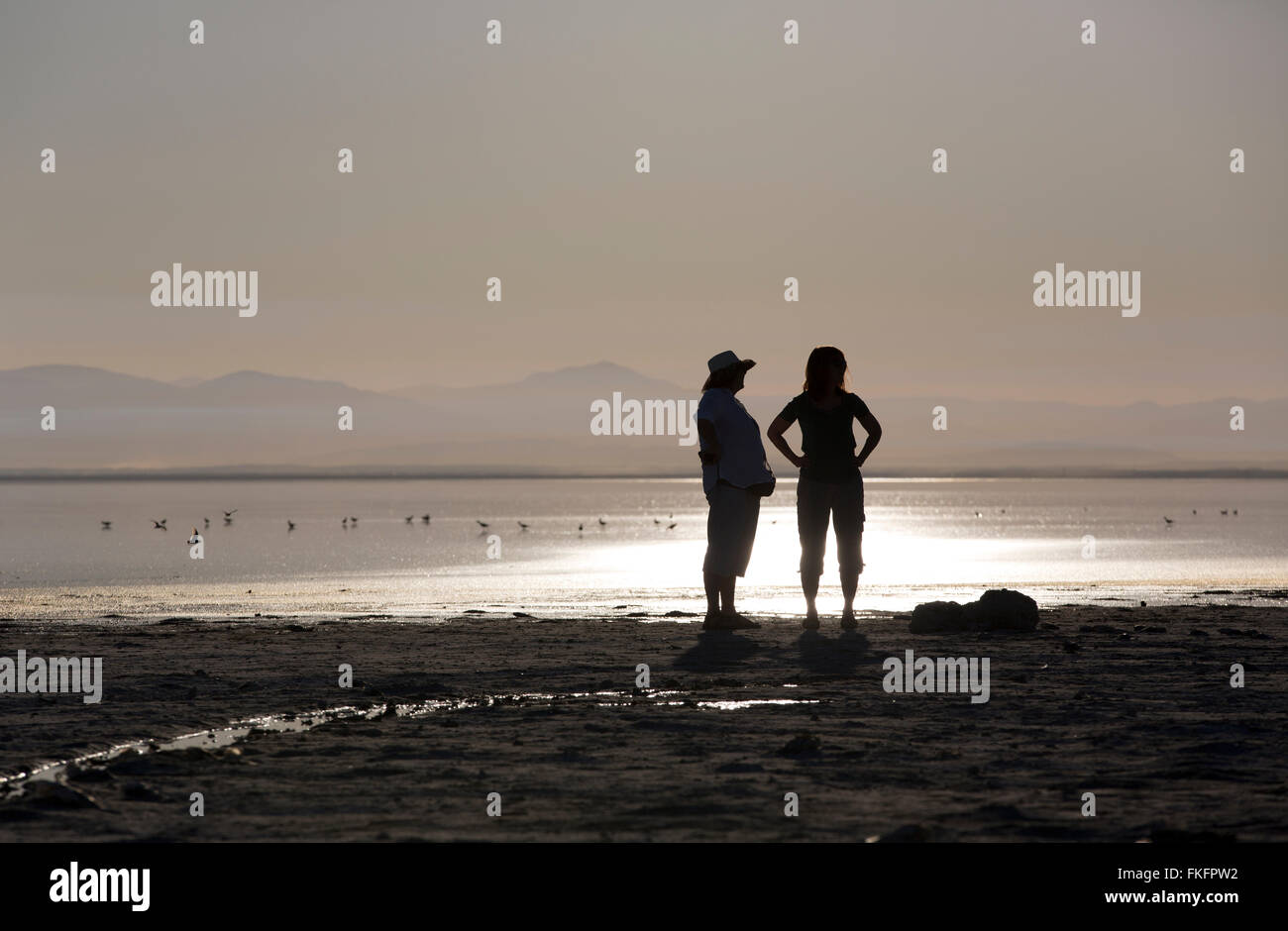 Donna in piedi sulla riva, Salton Sea, CALIFORNIA, STATI UNITI D'AMERICA Foto Stock