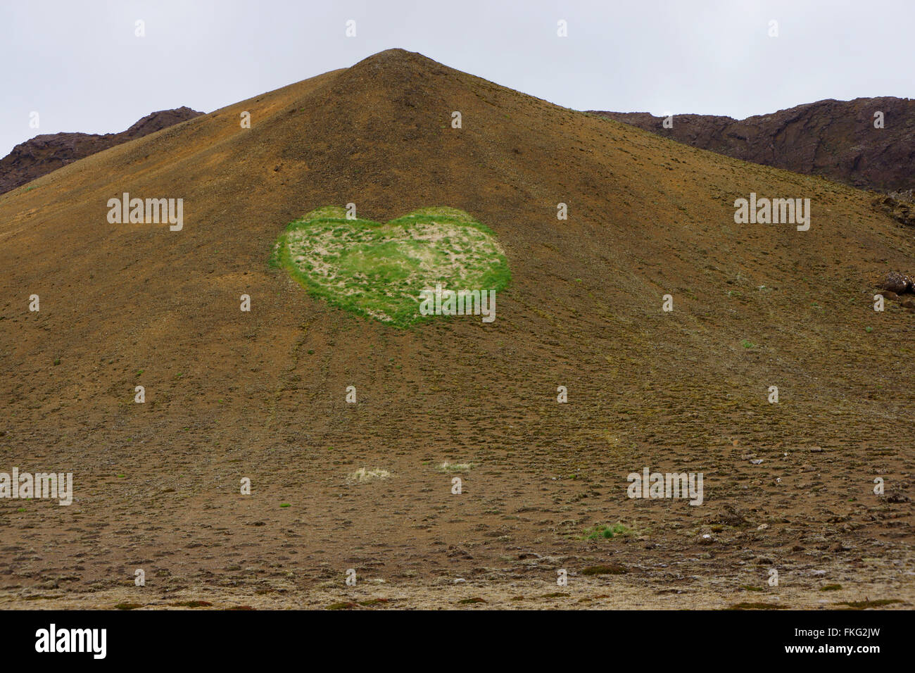 Forma di cuore vegetazione sulla collina vulcanica vicino a Krysuvik, SW Islanda Foto Stock