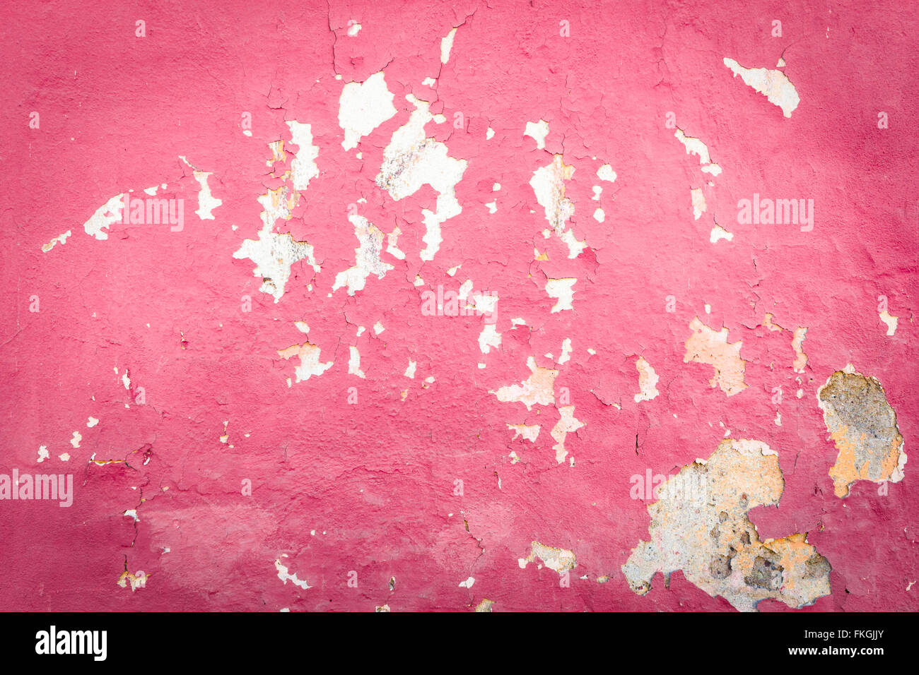 Peeling rosa di vernice sulla parete Foto Stock