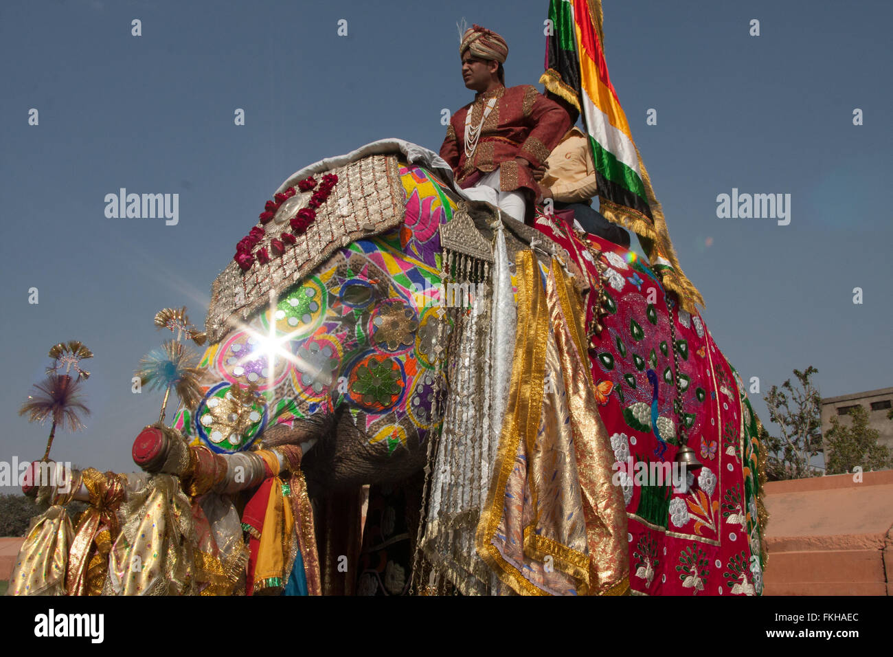 Durante il festival di elefante durante holi,celebrazione indù in Jaipur Rajasthan,l'India,l'Asia. Foto Stock