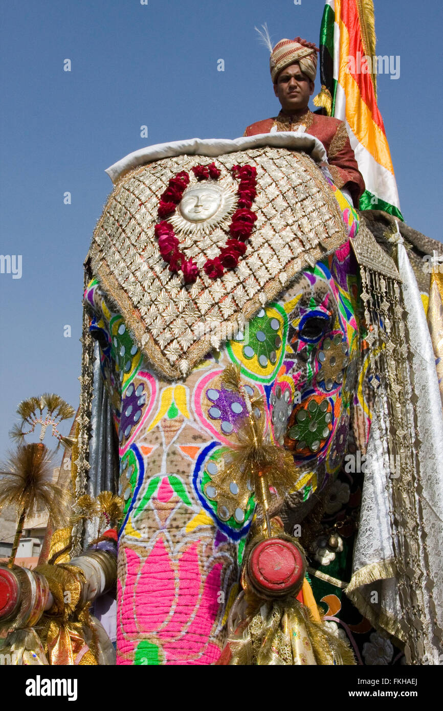 Durante il festival di elefante durante holi,celebrazione indù in Jaipur Rajasthan,l'India,l'Asia. Foto Stock