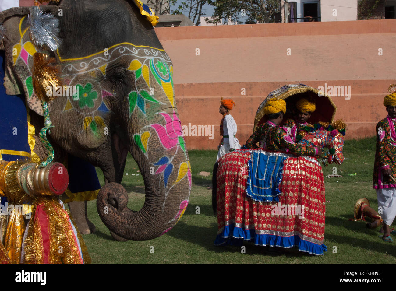 Durante il festival di elefante durante holi,celebrazione indù in Jaipur Rajasthan,l'India,l'Asia. Foto Stock