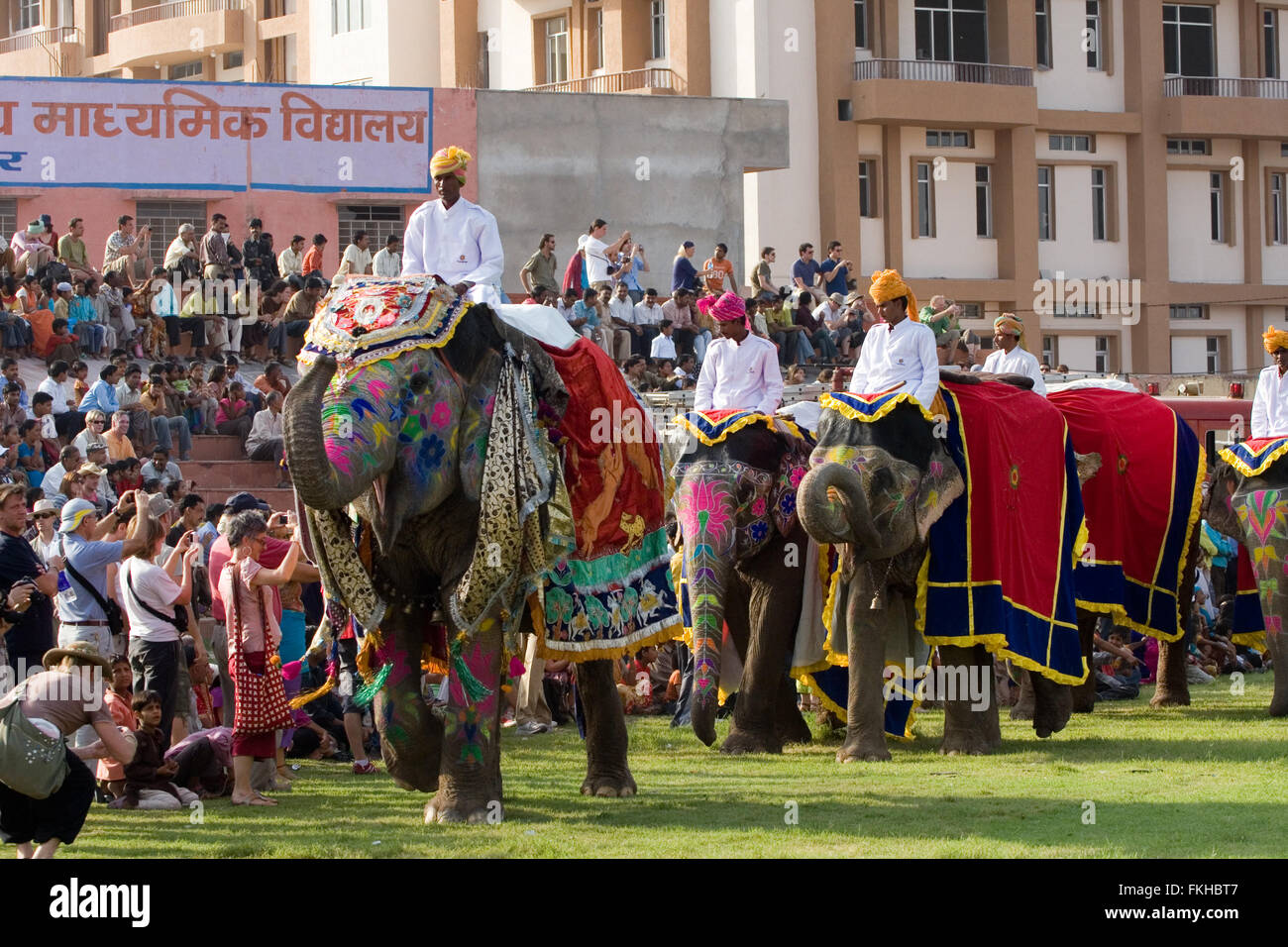 Durante il festival di elefante durante holi,celebrazione indù in Jaipur Rajasthan,l'India,l'Asia. Foto Stock