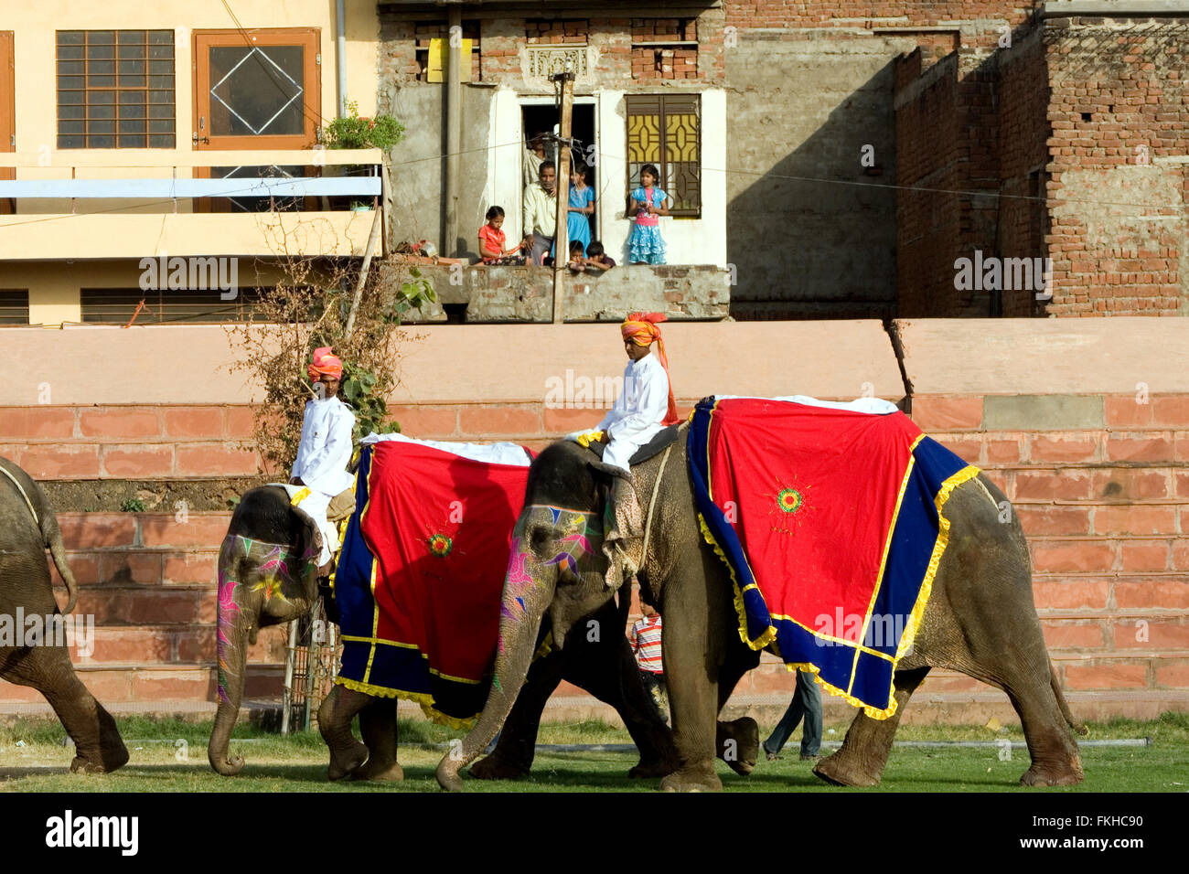 Sfilata durante il festival di elefante durante holi,celebrazione indù in Jaipur Rajasthan,l'India,l'Asia. Foto Stock