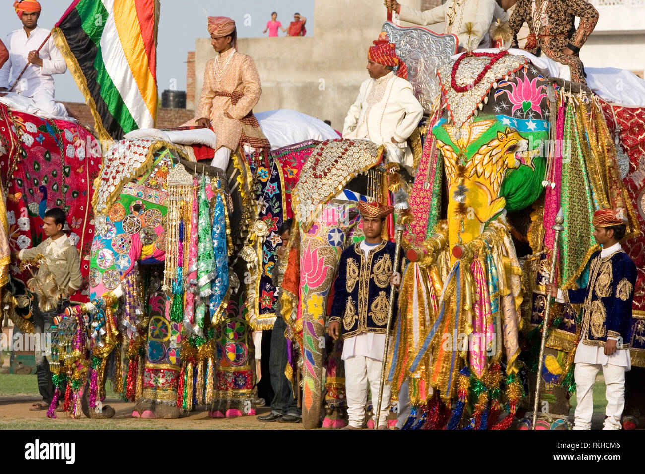 Durante il festival di elefante durante holi,celebrazione indù in Jaipur Rajasthan,l'India,l'Asia. Foto Stock