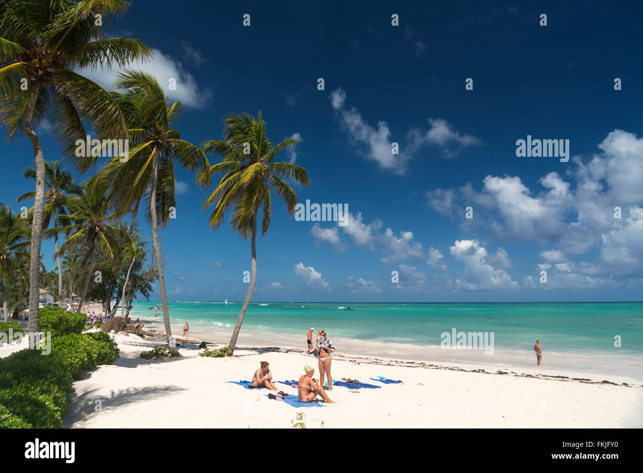 Orlata di palme sulla spiaggia di sabbia di Playa Bavaro, Punta Cana, Repubblica Dominicana, Caraibi, America, Foto Stock