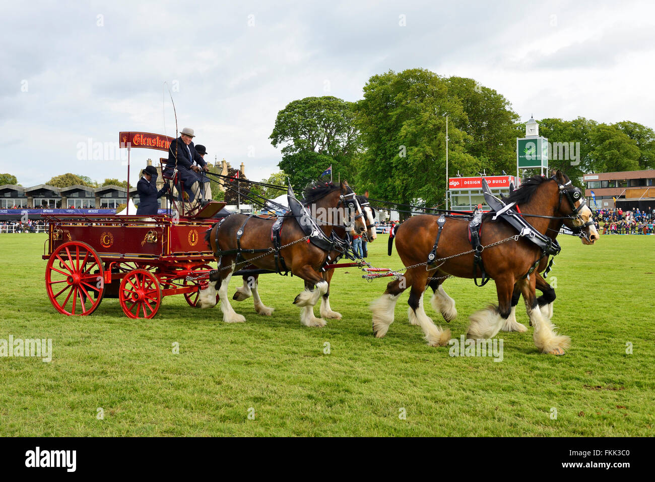 Pesanti scambi di cavalli (fours) al Royal Highland Show 2015, Ingliston, Edimburgo, Scozia, Regno Unito Foto Stock