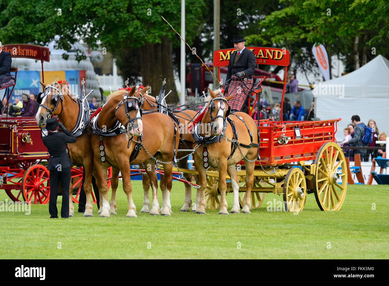 Pesanti scambi di cavalli (fours) al Royal Highland Show 2015, Ingliston, Edimburgo, Scozia, Regno Unito Foto Stock