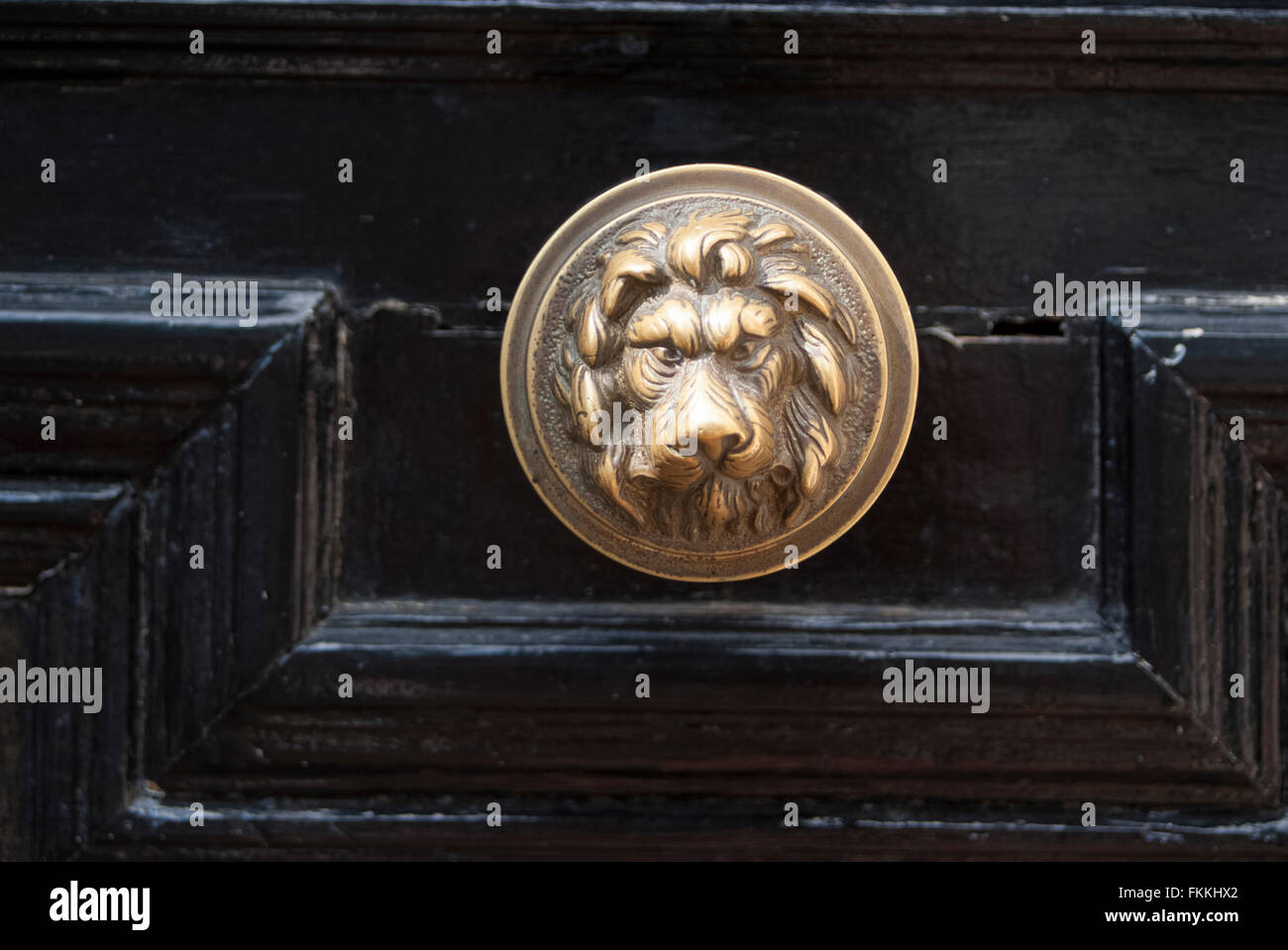 Maniglie delle porte sulla parte anteriore dell'edilizia residenziale. Foto Stock