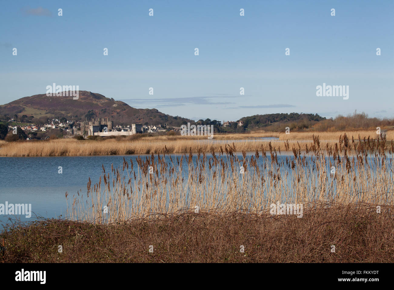 Conwy Castello medievale Gwynedd Galles del Nord Regno Unito Foto Stock