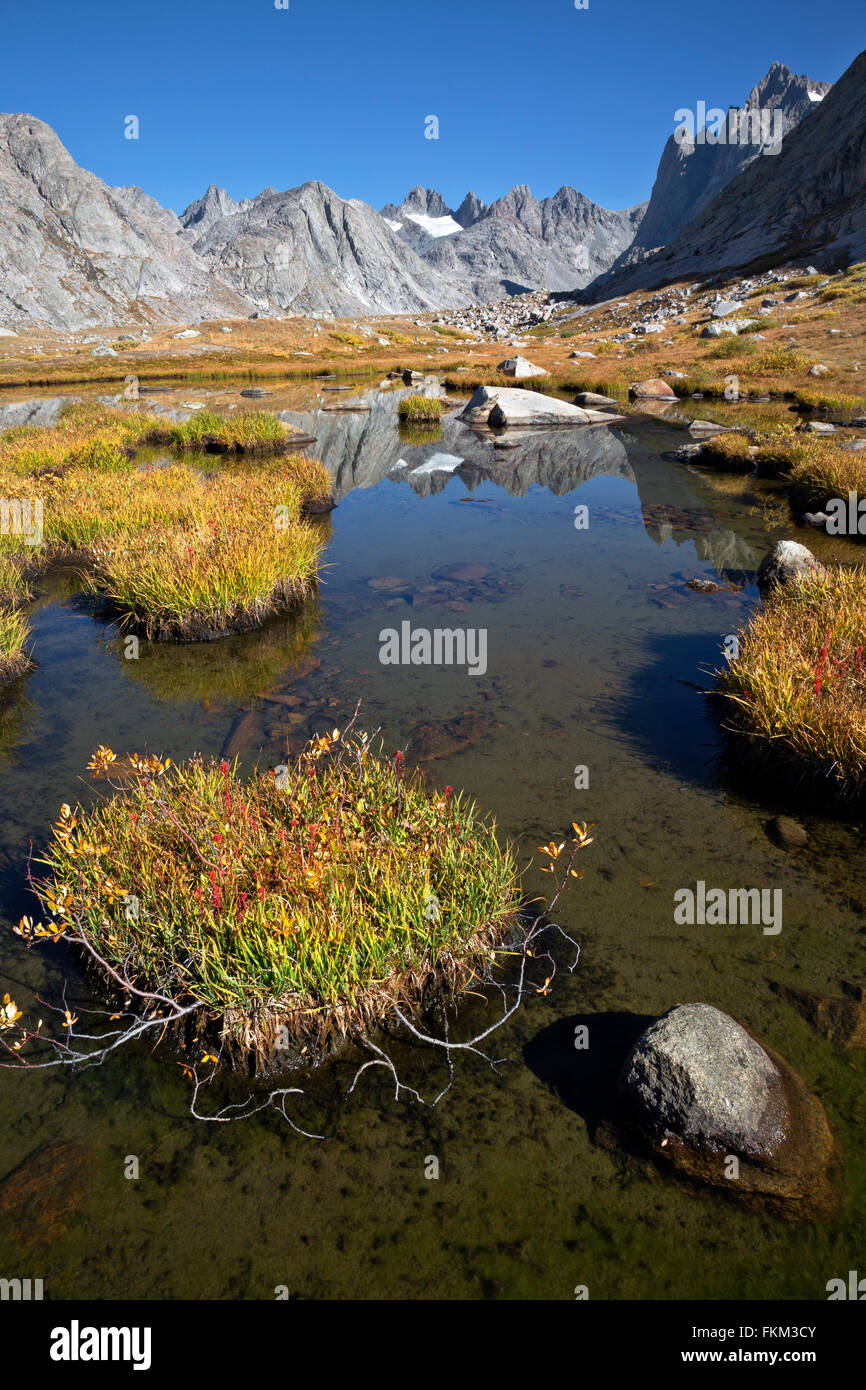 WY01246-00...WYOMING - Piccolo tarn in Titcomb Bacino del fiume del vento nella gamma Bridger Wilderness Area. Foto Stock