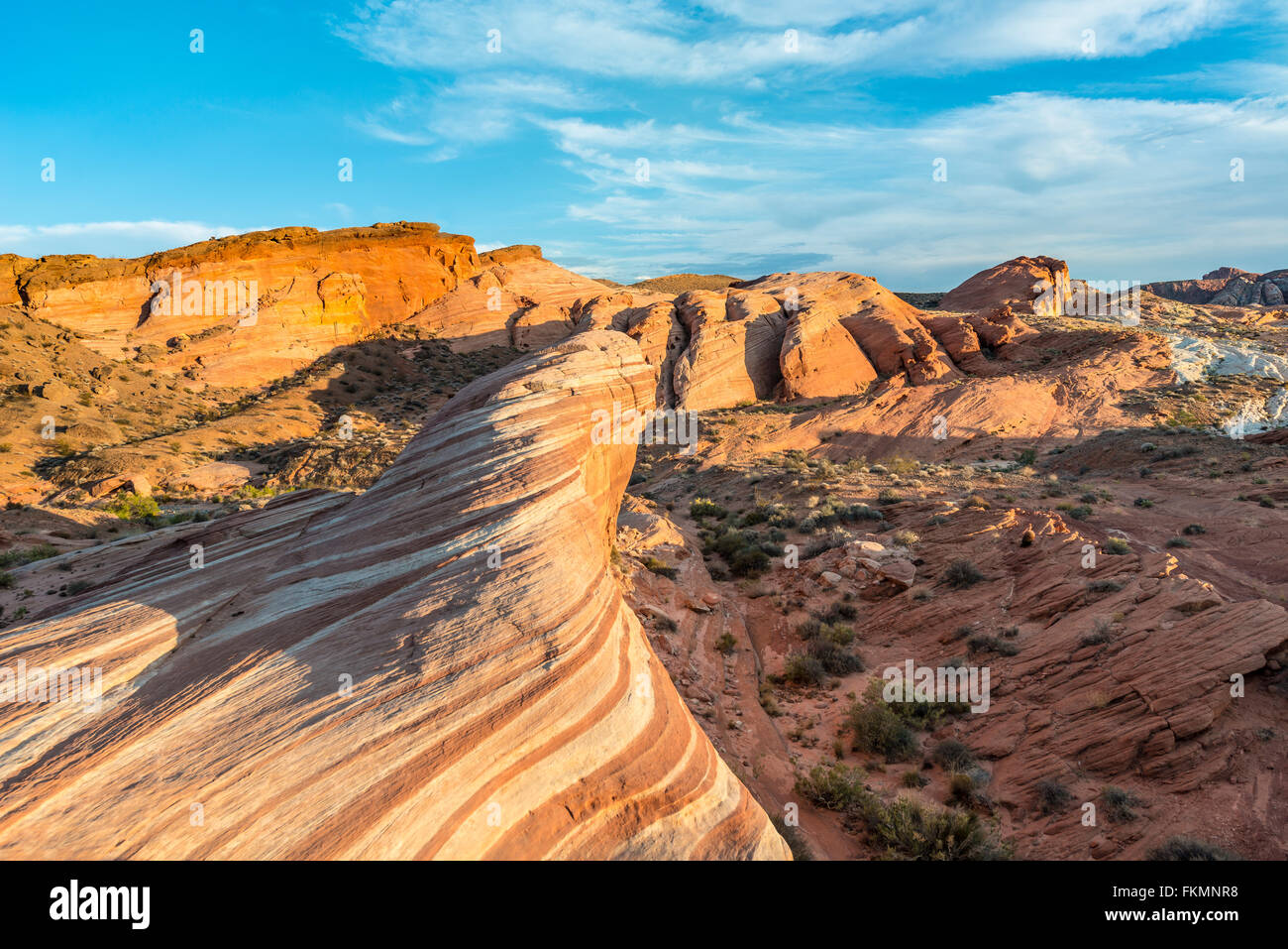 Onda di fuoco formazione di arenaria nella luce della sera, dietro Sleeping Lizard formazione di roccia, la Valle del Fuoco del parco statale, Nevada, STATI UNITI D'AMERICA Foto Stock