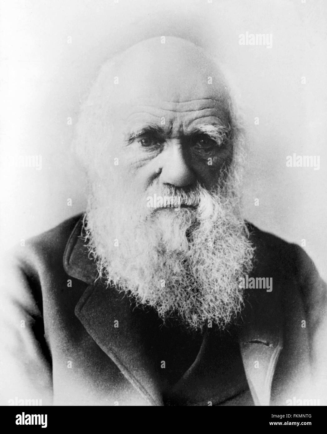 Charles Darwin (1809-1882). Ritratto, data sconosciuta. Foto Stock