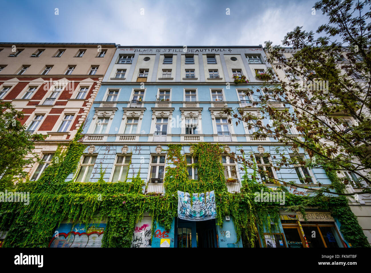 Vigne hanging off edifici di Berlino, Germania. Foto Stock