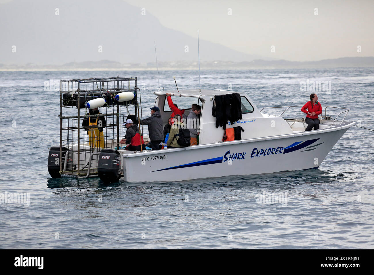 Shark barca safari squalo barca Explorer con i turisti subacquei Simonstown Western Cape South Africa Africa Foto Stock