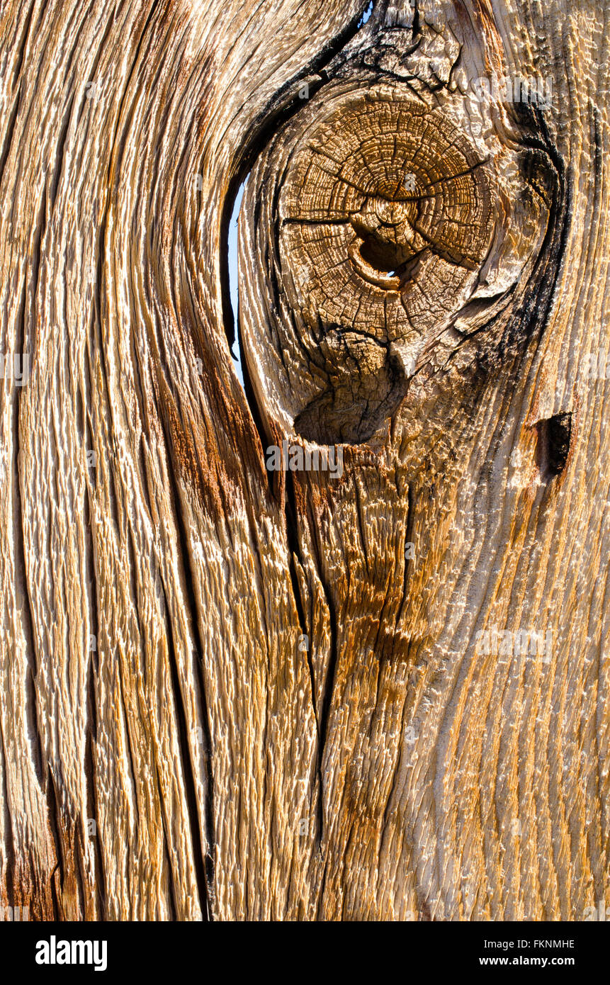 Weathered vecchio recinto in legno doga con foro di nodo. Legno invecchiato, incrinato grossolana del GRIN. Foto Stock