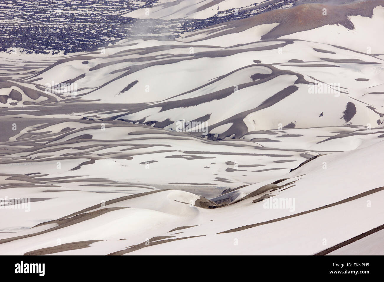 Ceneri vulcaniche e neve, Cordon Caulle sul vulcano Puyehue, Patagonia, Cile Foto Stock