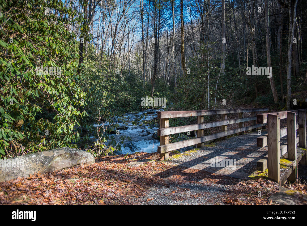 Ponte attraverso swift creek in movimento nel Parco Nazionale di Great Smoky Mountains Foto Stock