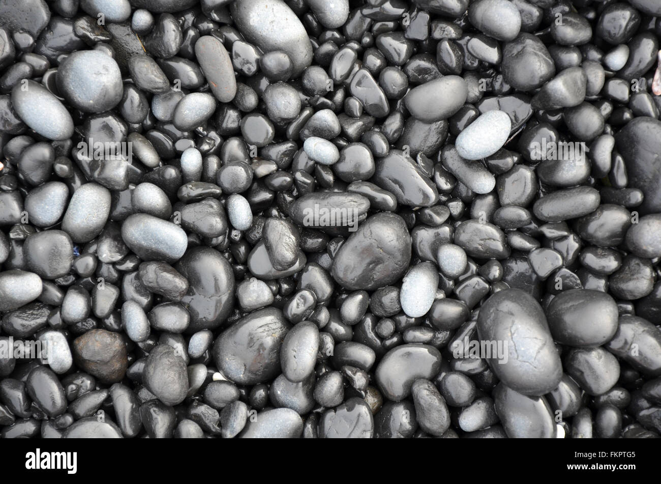 Nero lucido ciottoli di lava sulla spiaggia di Oregon Foto Stock