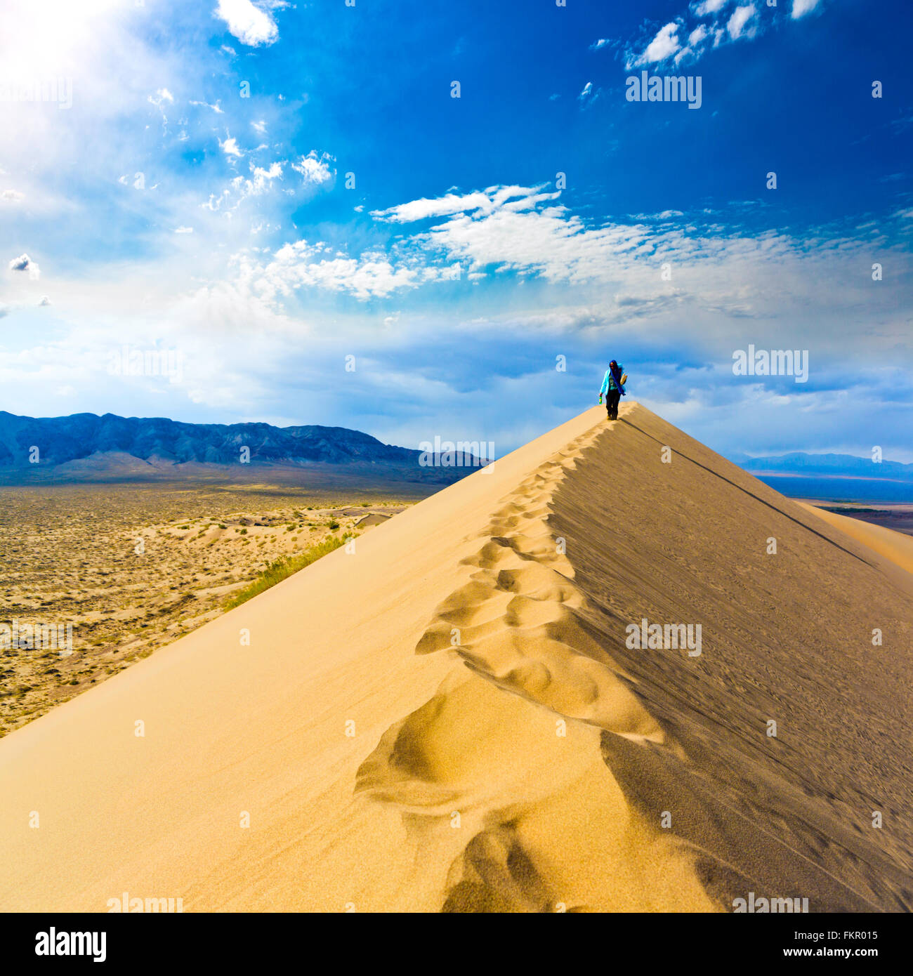 Paesaggio di dune del deserto Foto Stock