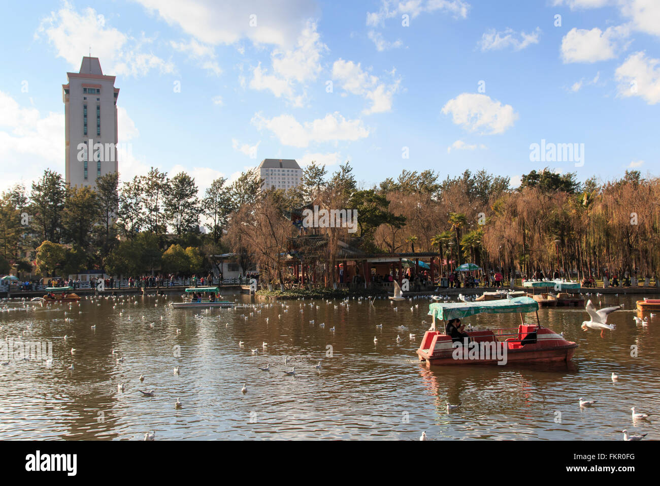 Kunming, Cina - 8 Gennaio 2016: Green Lake Park in Kunming, Yunnan, il più popolare luogo per il tempo libero in città Foto Stock