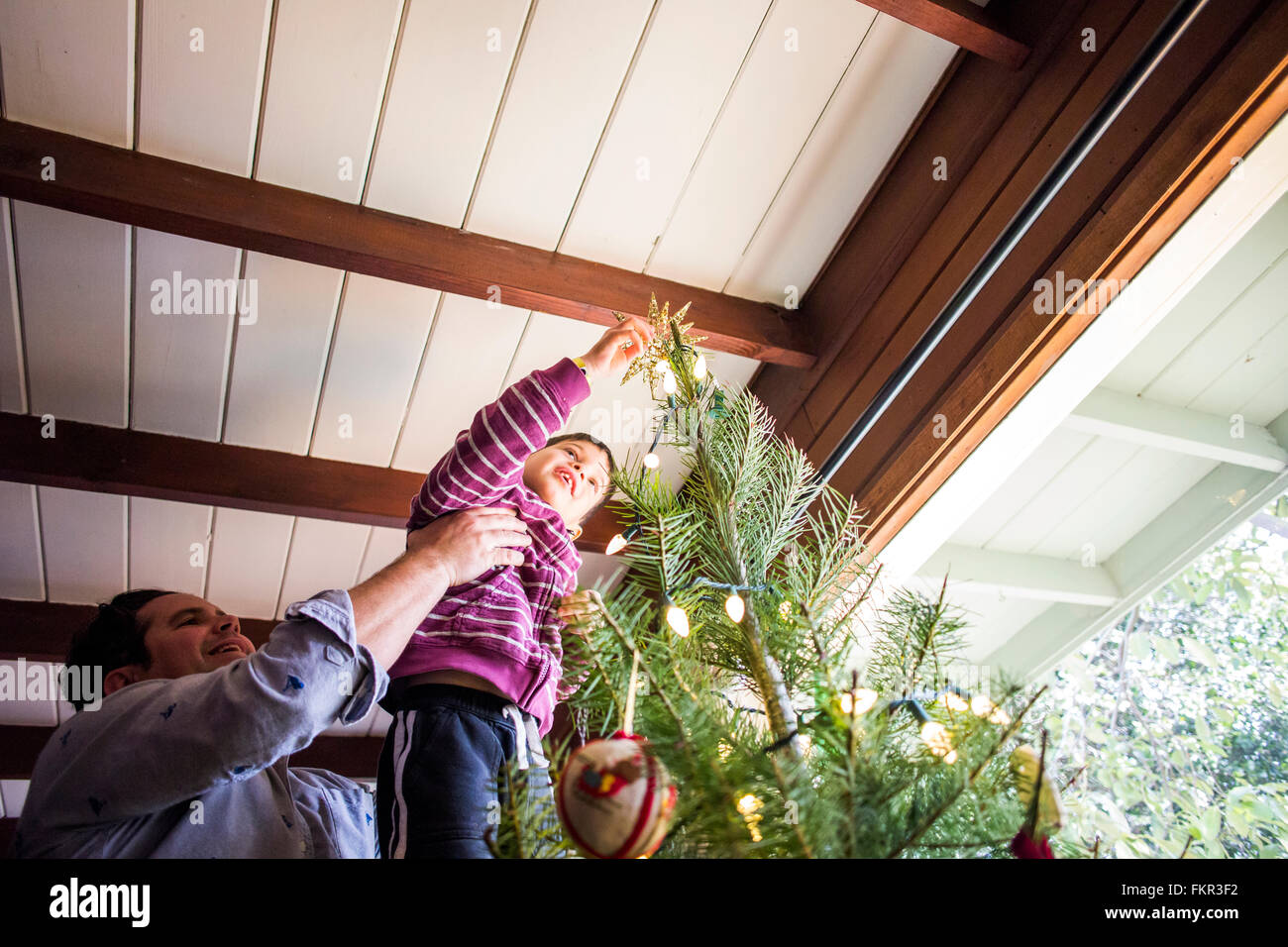 Padre e figlio decorare albero di Natale Foto Stock