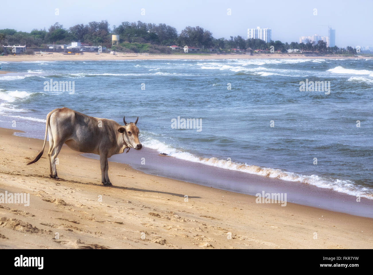 Kovalam Beach, Covelong, Chennai, nello Stato del Tamil Nadu, India Foto Stock
