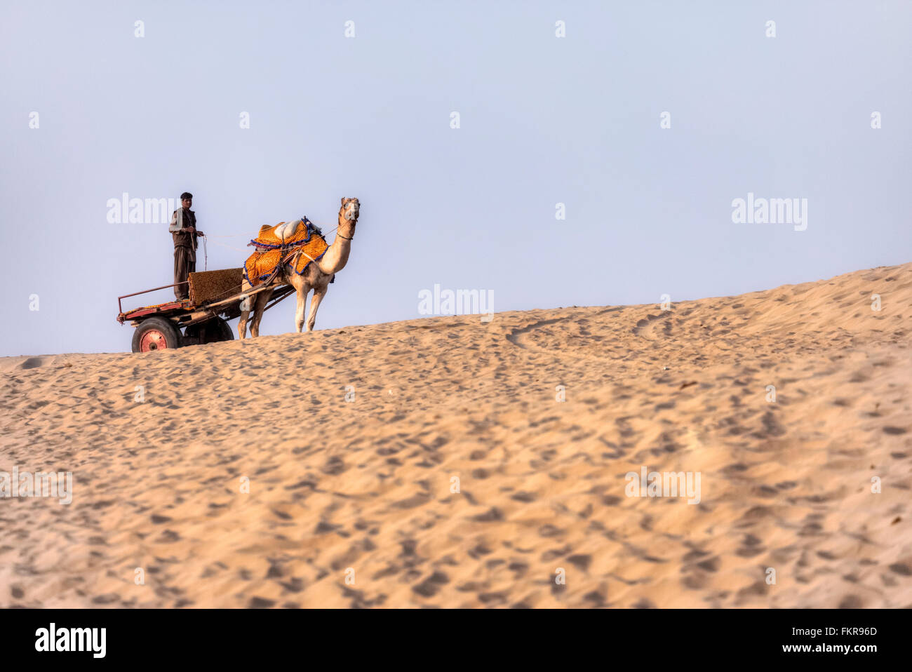 Carrello cammello nel deserto di Thar, Rajasthan, India Foto Stock