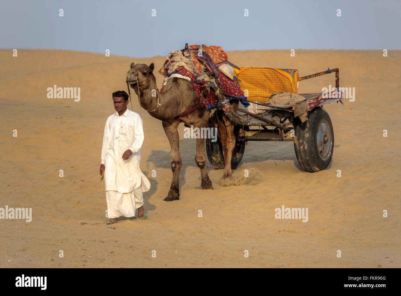 Carrello cammello nel deserto di Thar, Rajasthan, India Foto Stock