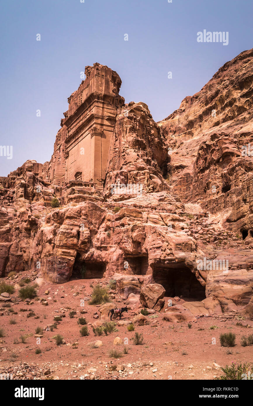 Le tombe e le grotte di red rock città perduta di Petra, Regno Hascemita di Giordania, Medio Oriente. Foto Stock