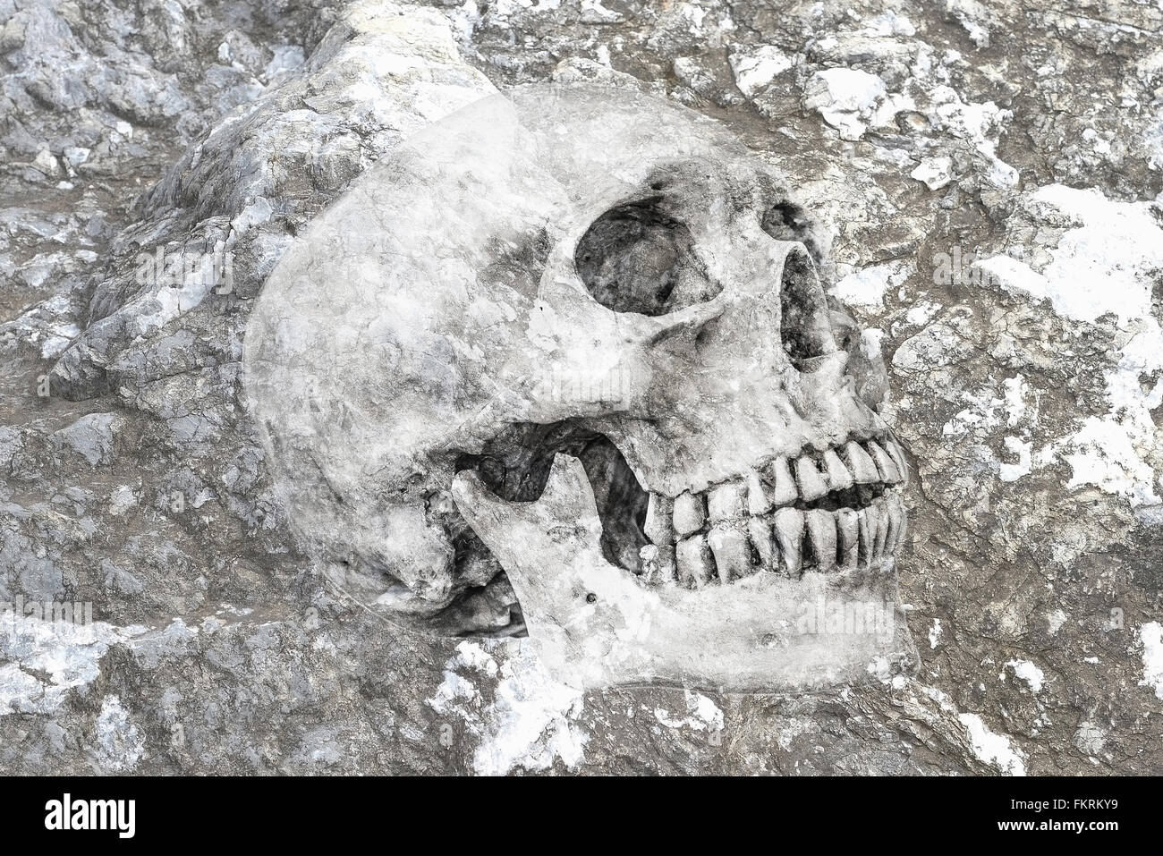 Simbolo di astratta idea,Vita No.1, vista laterale del cranio umano nella roccia vita sfondo No.1 2016 Foto Stock