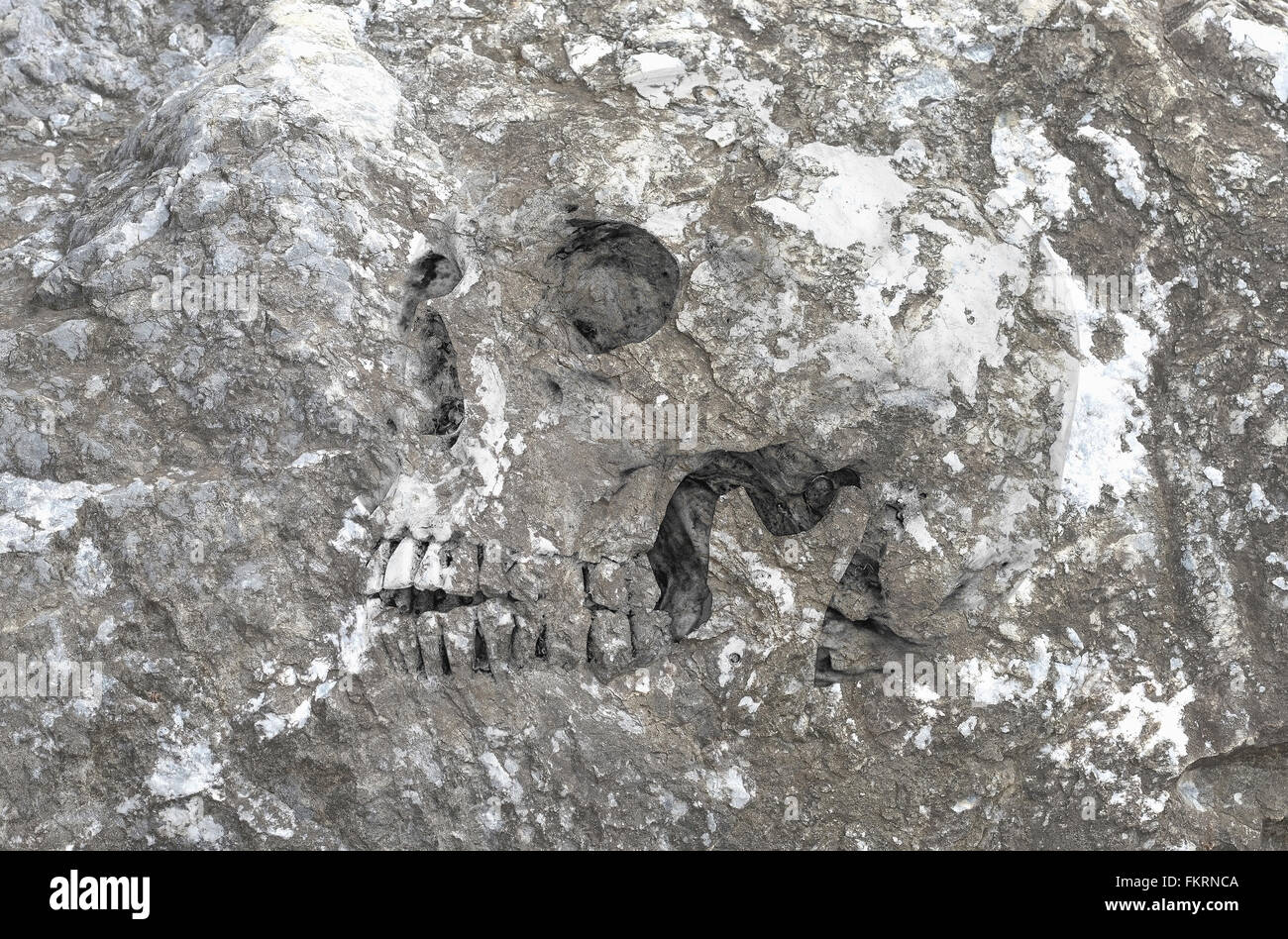 Simbolo di astratta idea,vita, vista laterale del cranio umano in rock texture dello sfondo. La vita No.4 2016 Foto Stock