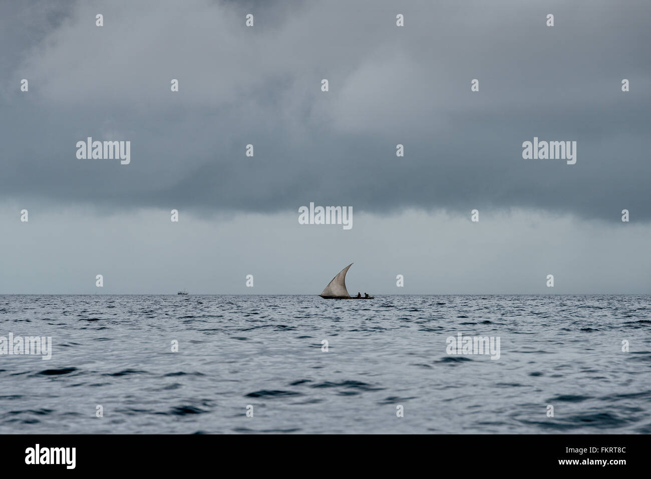 Zanzibar ha un sacco di dhow (stile tradizionale imbarcazione a vela) a causa della sua storia come una parte del Sultanato di Oman. Foto Stock