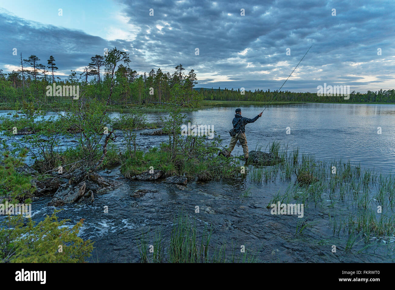 Pesca a mosca in Lapponia, Finlandia. Foto Stock