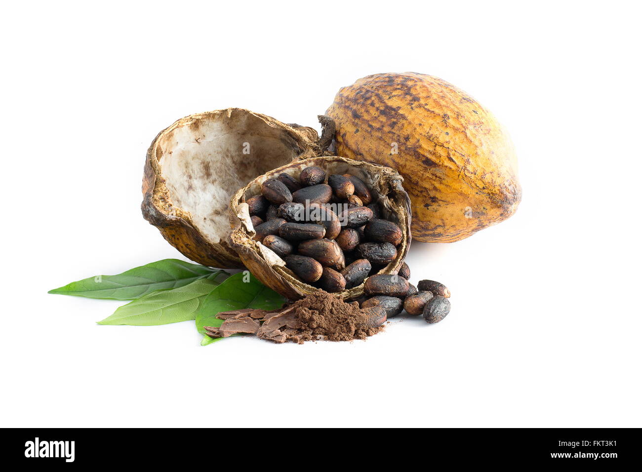 Pod di cacao, cacao in grani, polvere di cacao su uno sfondo bianco. Foto Stock