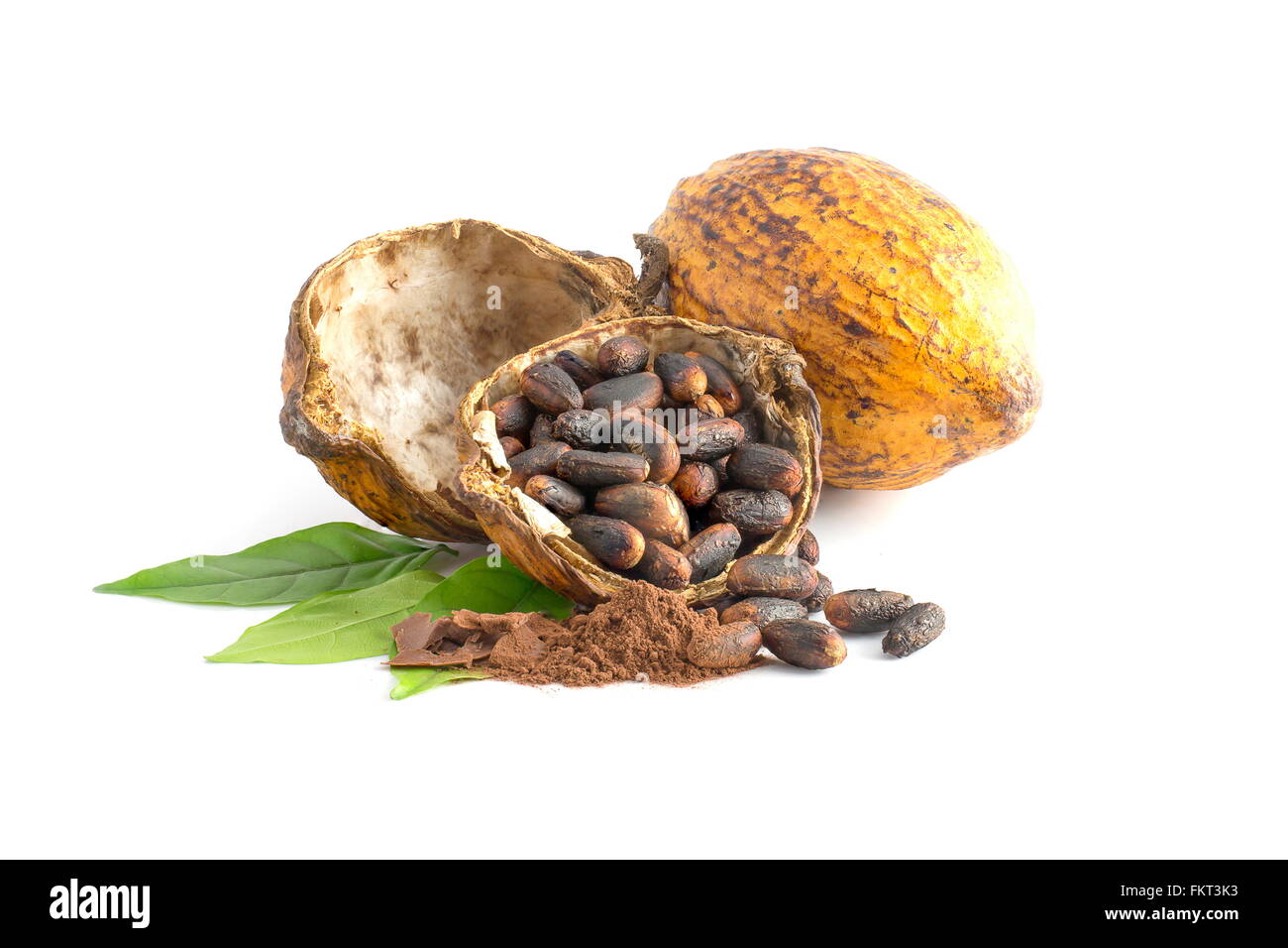 Pod di cacao, cacao in grani, polvere di cacao su uno sfondo bianco. Foto Stock