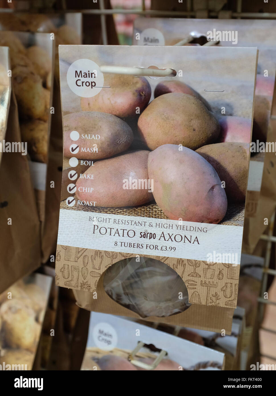 Tuberi seme di patate in vendita in un centro giardino. Crescere il proprio. Foto Stock